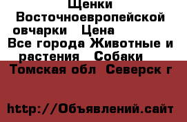 Щенки Восточноевропейской овчарки › Цена ­ 25 000 - Все города Животные и растения » Собаки   . Томская обл.,Северск г.